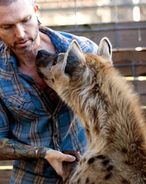 HyenaImage2